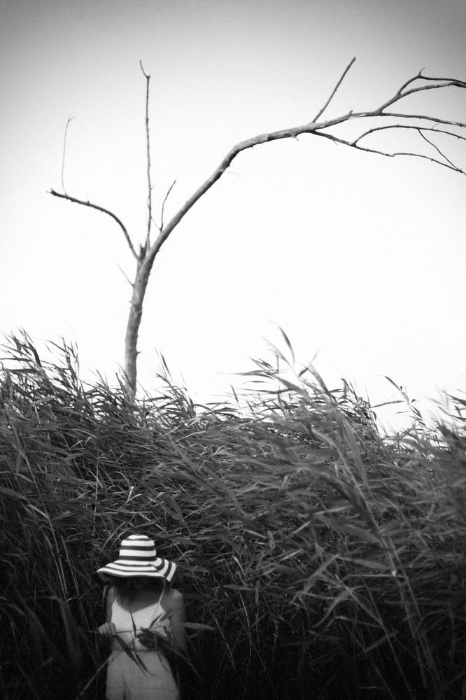 Photograph by Andrey Loptev