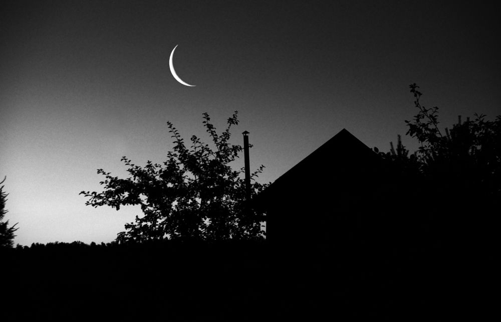 Photograph by Николай Алексеев