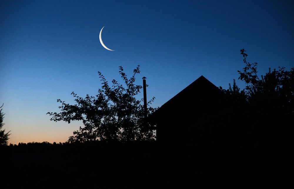 Photograph by Николай Алексеев