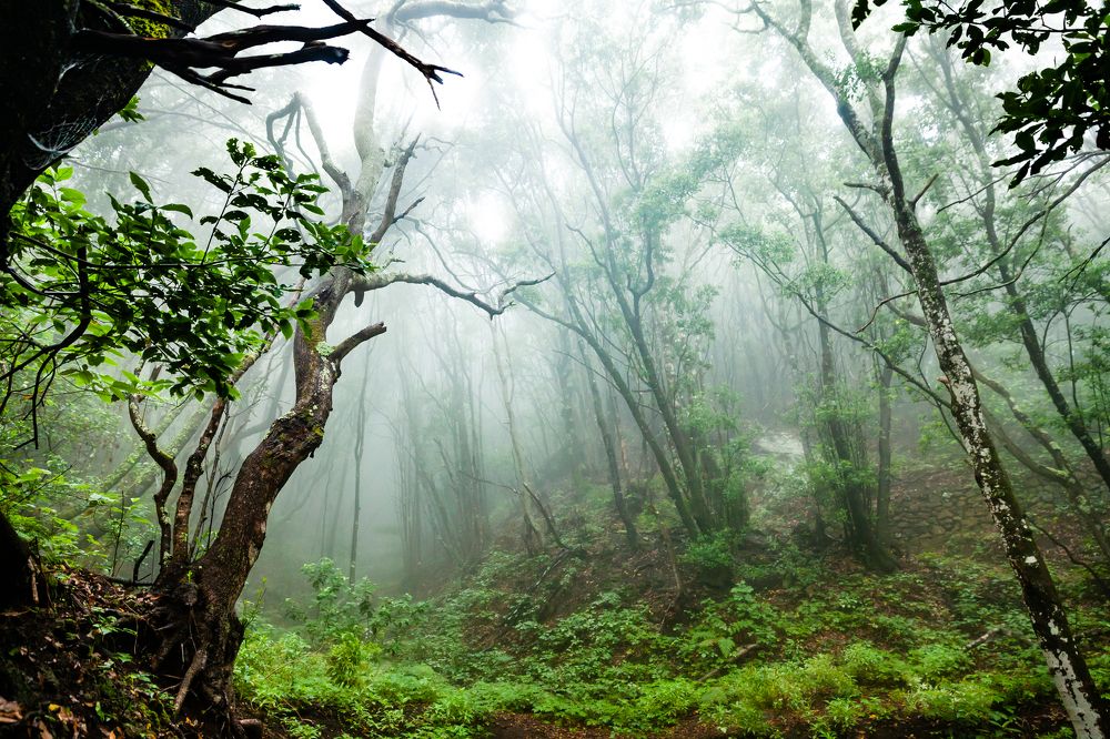 Photograph by Jose Luis Mendez Fernandez