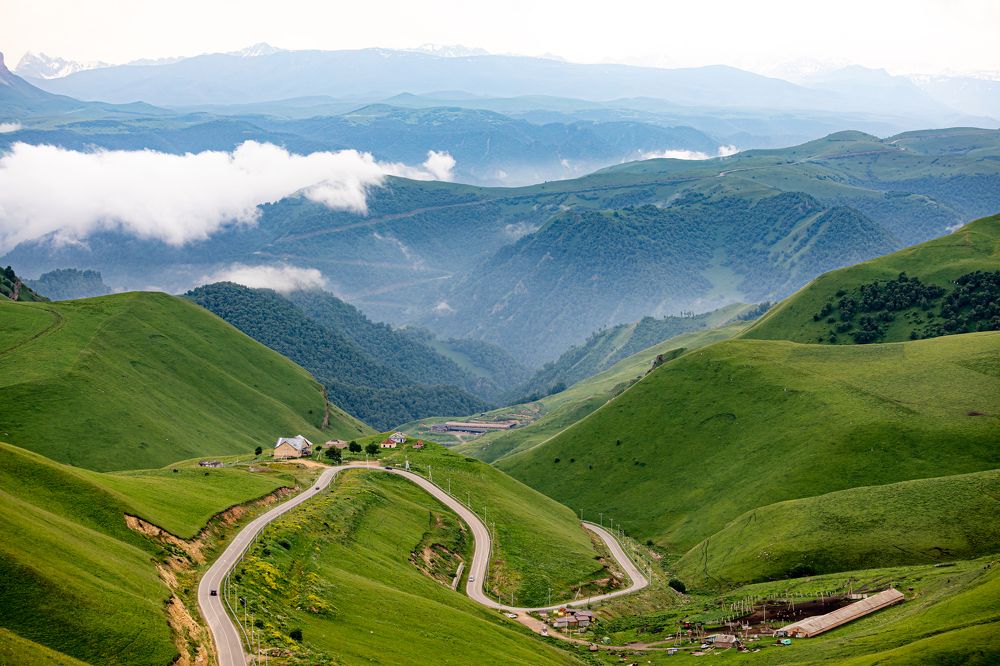 Зелёная миля