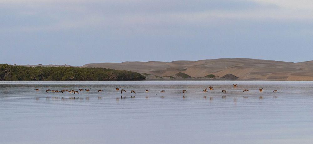 Photograph by CLAUDIA ROJAS GARCIA TRAVESI