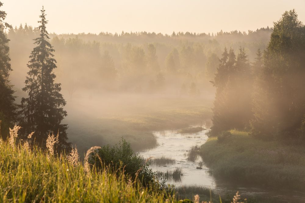 Photograph by Илья Юфа