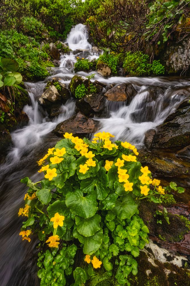 Photograph by Руслан Нигматуллин