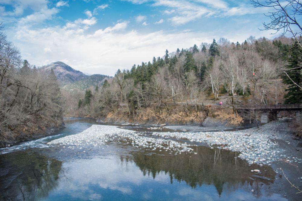 Photograph by Елена Плотникова