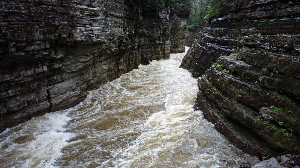 Photograph by Nirmalya Chakraborty