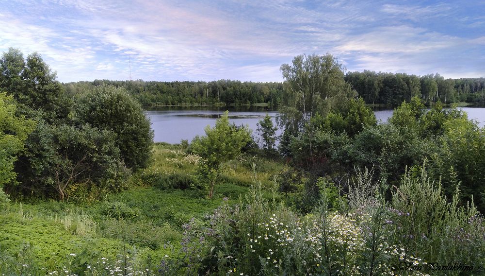 Photograph by Вера  Павлухина