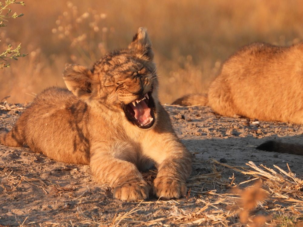 Photograph by Sandra Peña