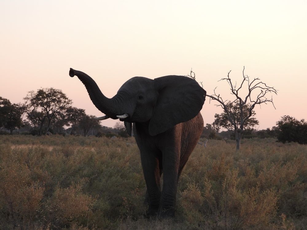 Photograph by Sandra Peña