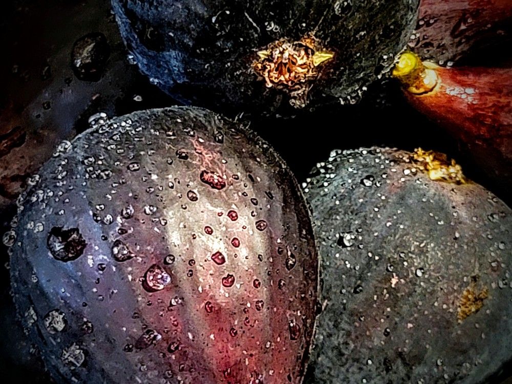 Figs