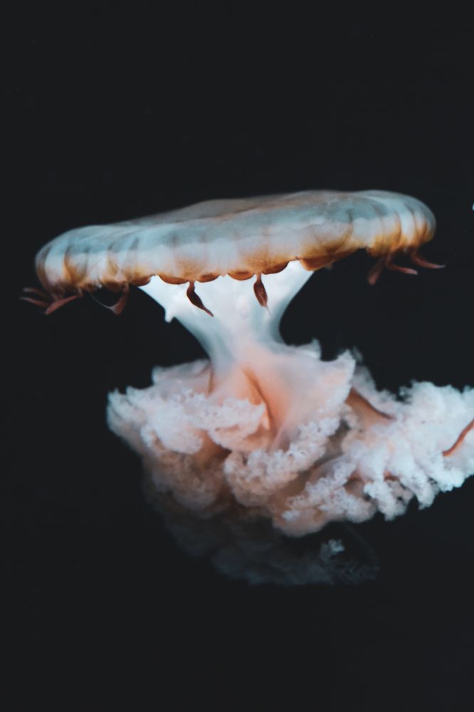 Photograph by Ли Летунова