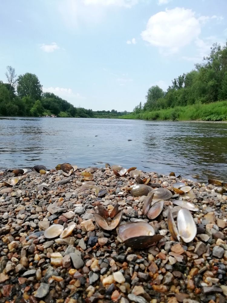 Photograph by Ольга