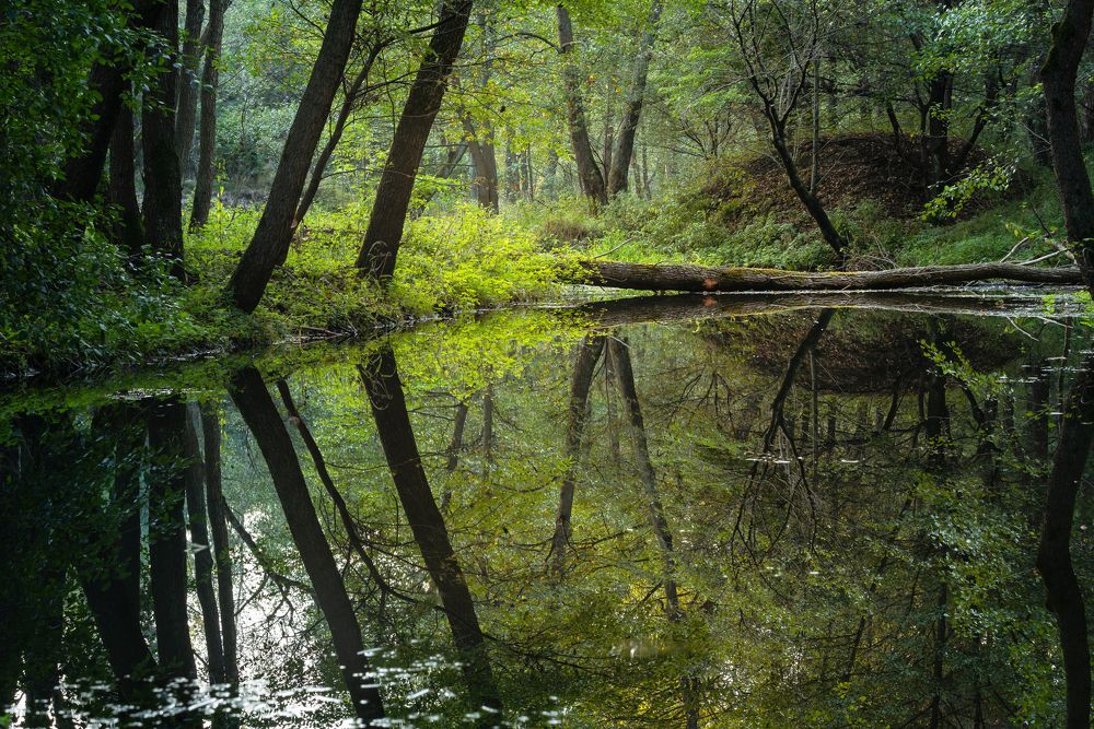 Photograph by Waldemar Gocałek