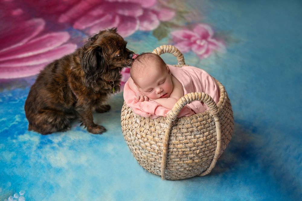 Photograph by Liraz Carmeli