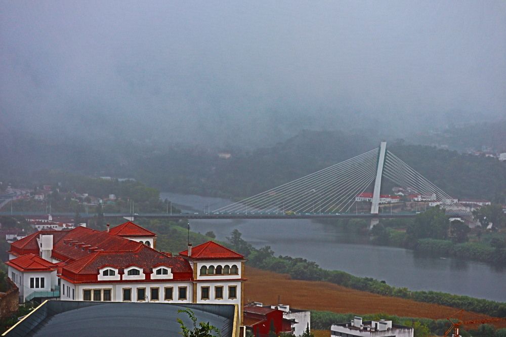 Photograph by Delfina Paulo