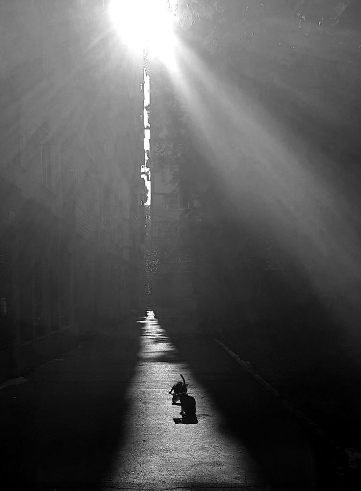 Photograph by Светлана Ветрова