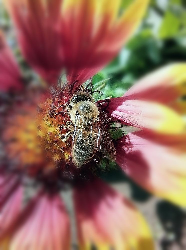 Photograph by Vesna Petkoska