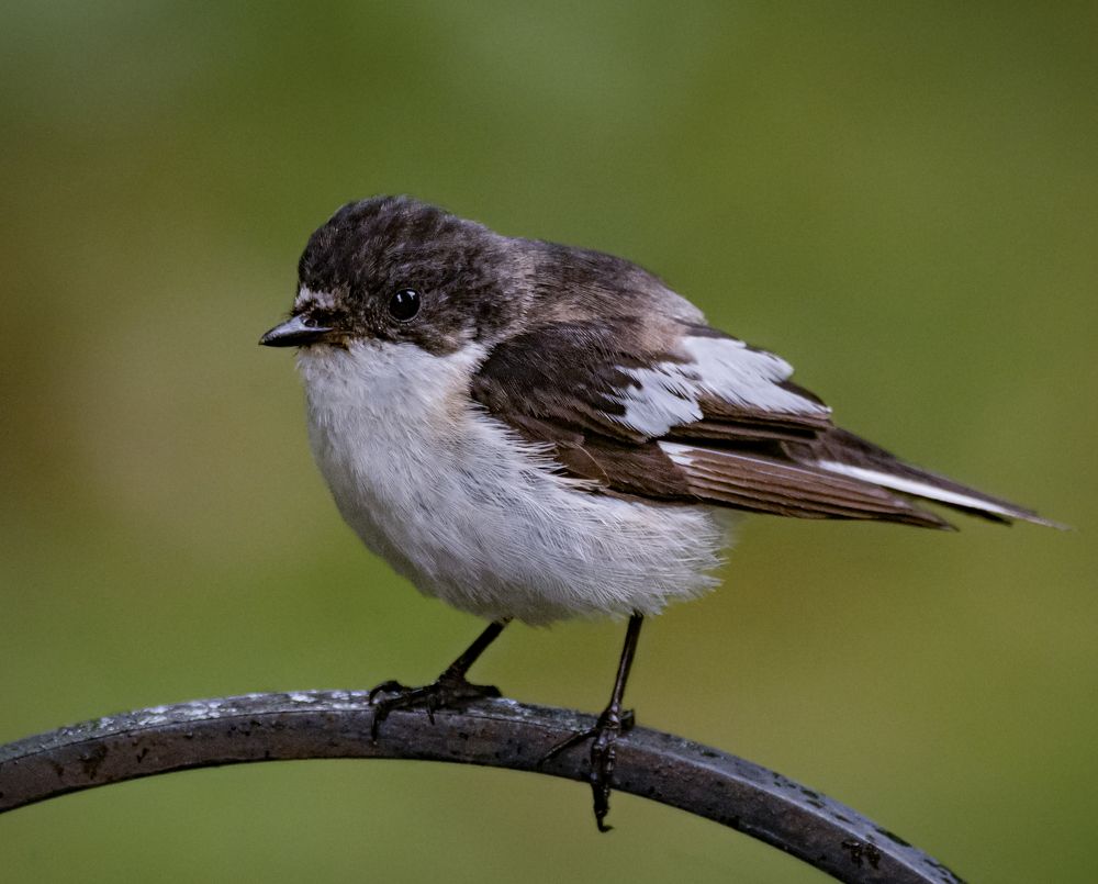 Photograph by Курлянцев Алексей