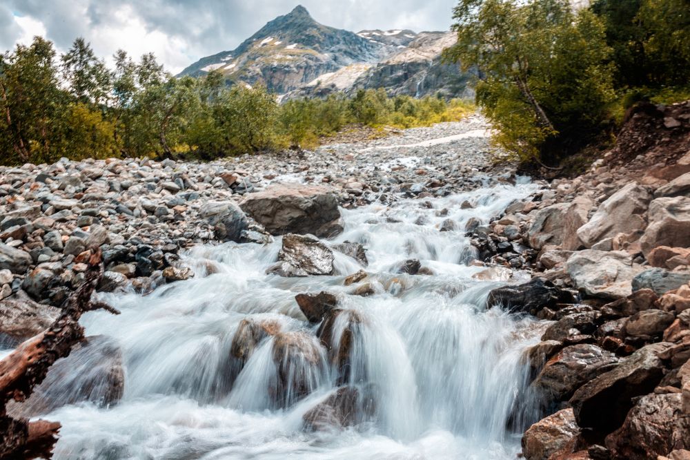 Photograph by EKATERINA WALTER