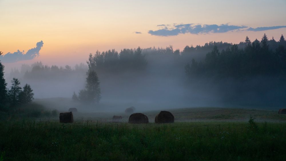 Туман в Валдайском лесу