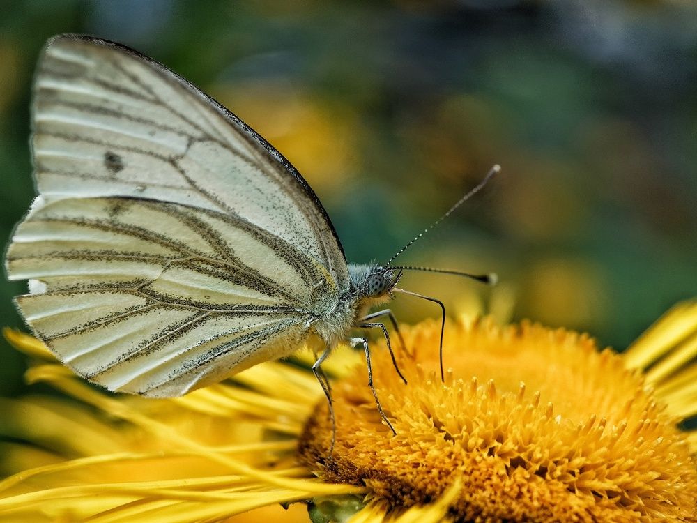 Photograph by Natali