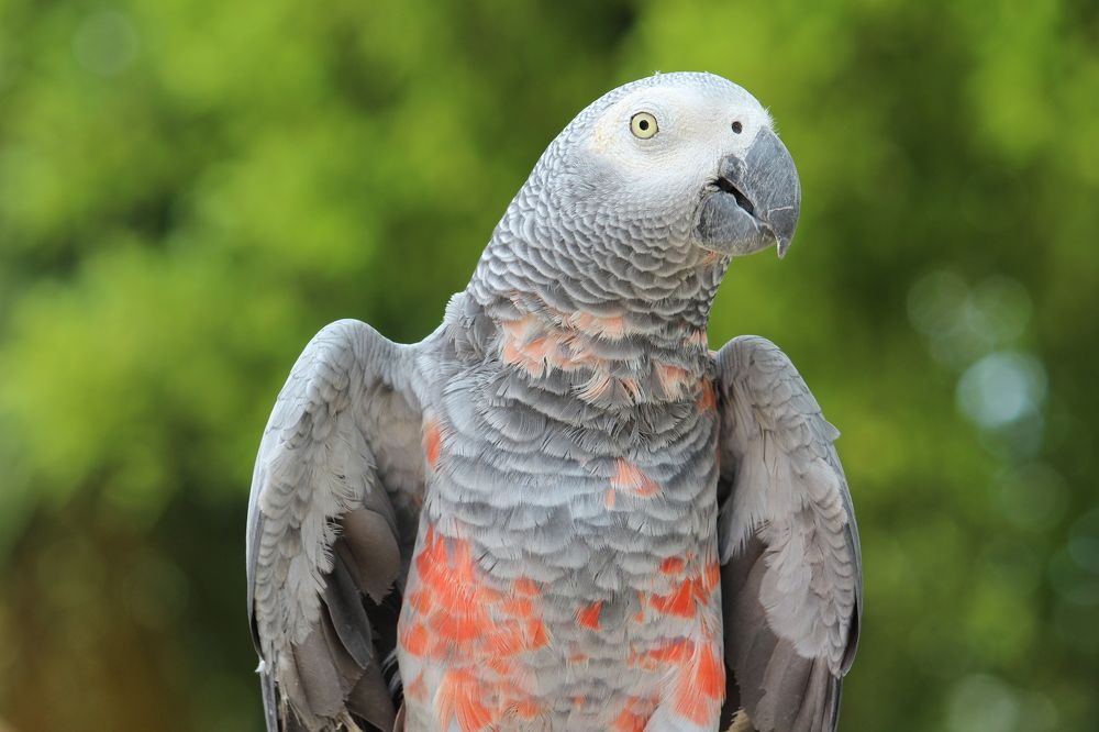 Photograph by Senthil Venugopalan