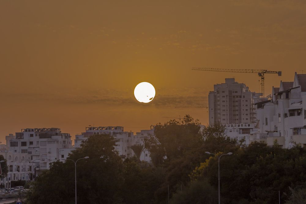 Фотография автора ADLER GOLDFARB