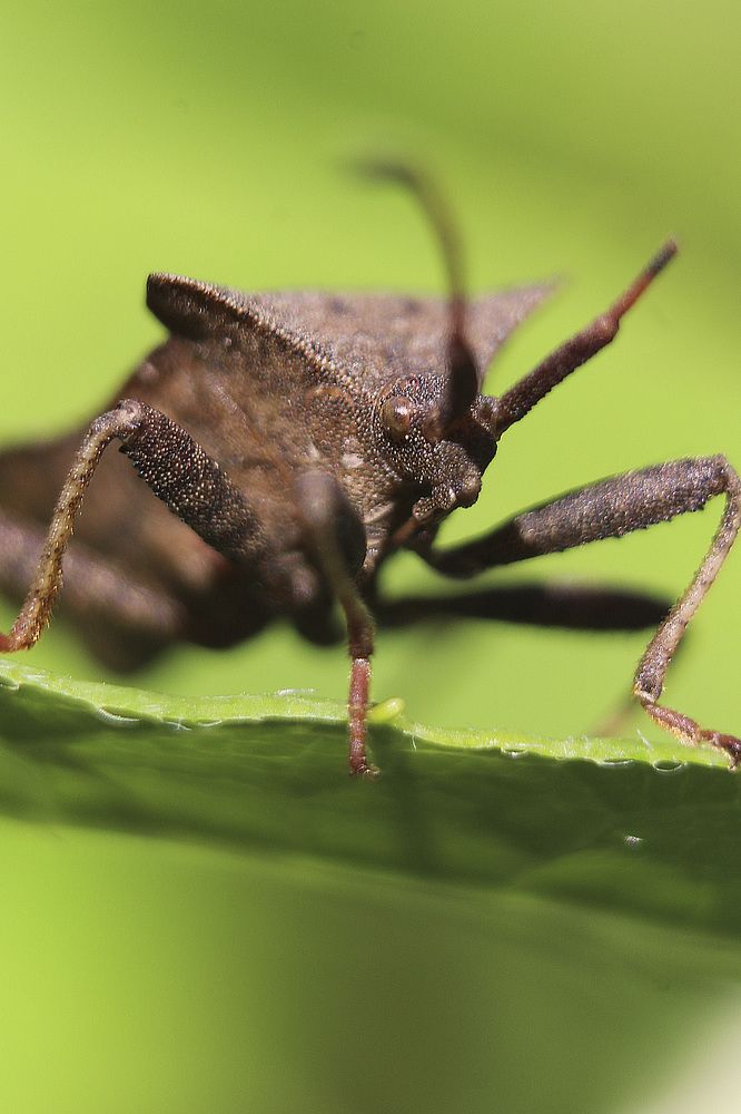 Photograph by Татьяна Фоевцева