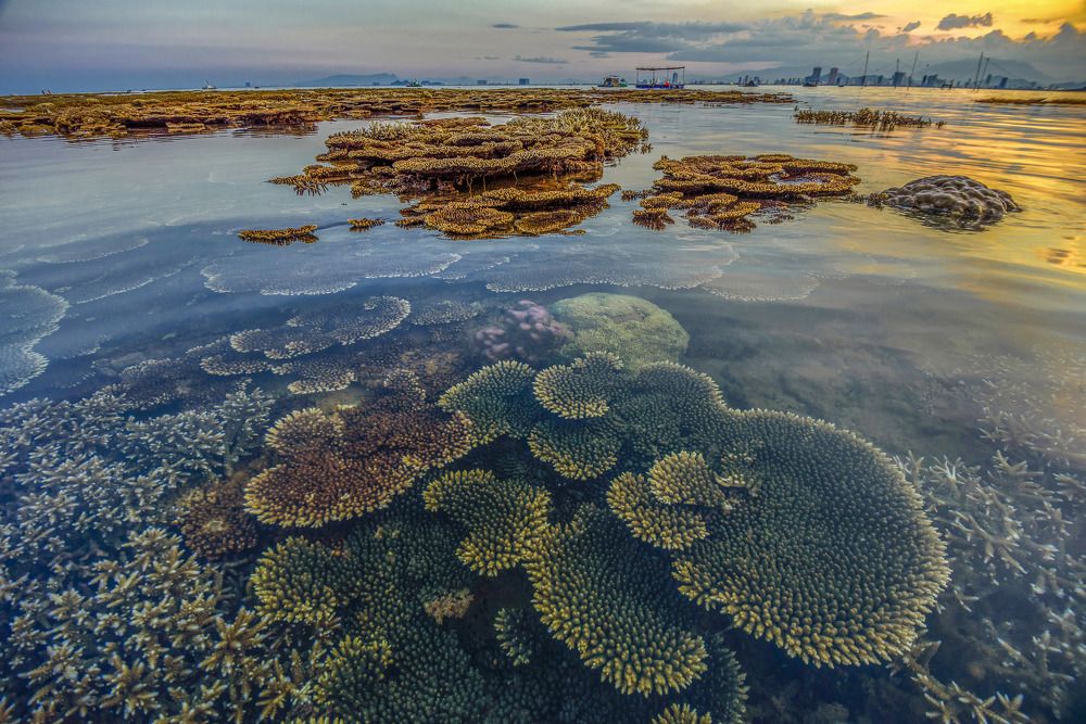 Photograph by Khiêm Phạm Đăng