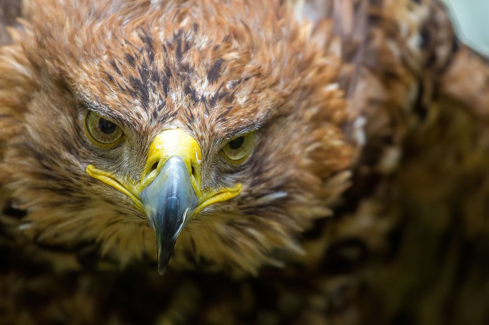 Photograph by Артем