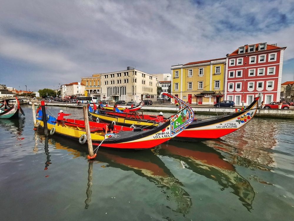 Photograph by José Vieira