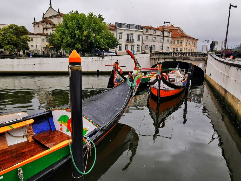 Photograph by José Vieira