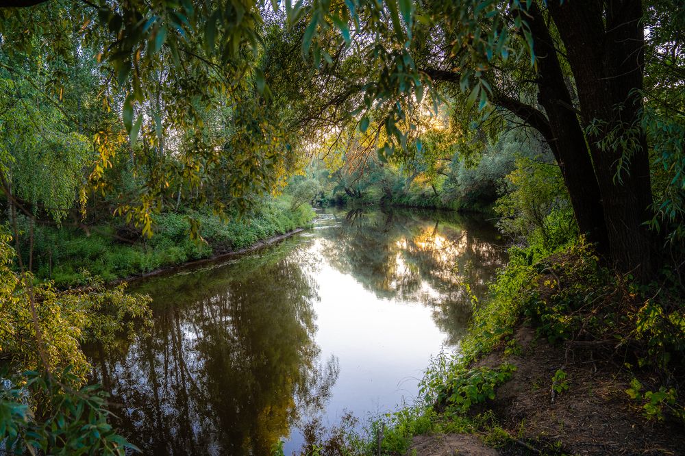 Photograph by Галина Аскольдовна Луковникова