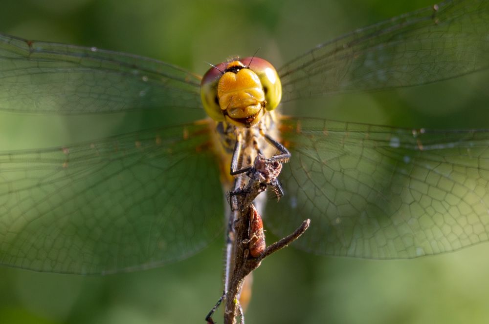 Photograph by Алексей Крукович