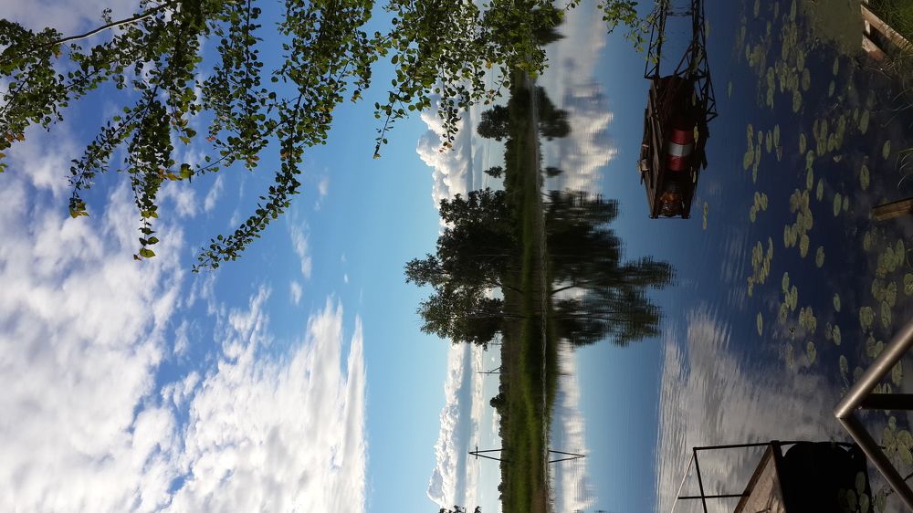 Photo #6295838