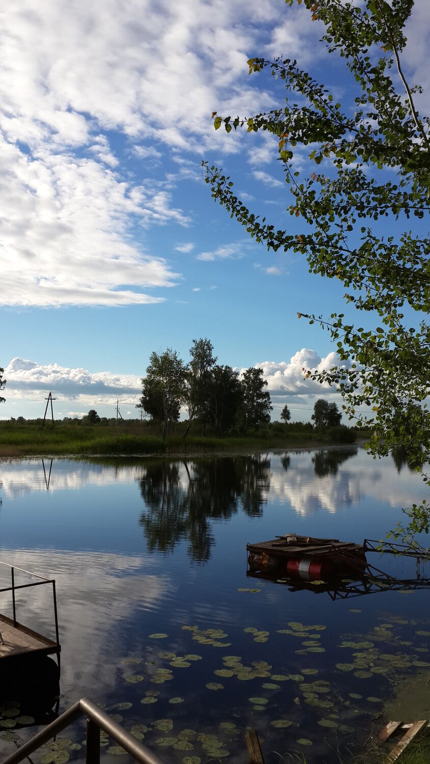 Photo #6295838