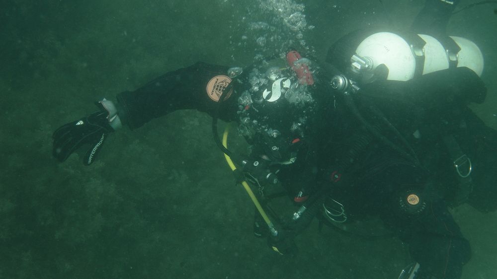 Photograph by Владимир Ясюкевич