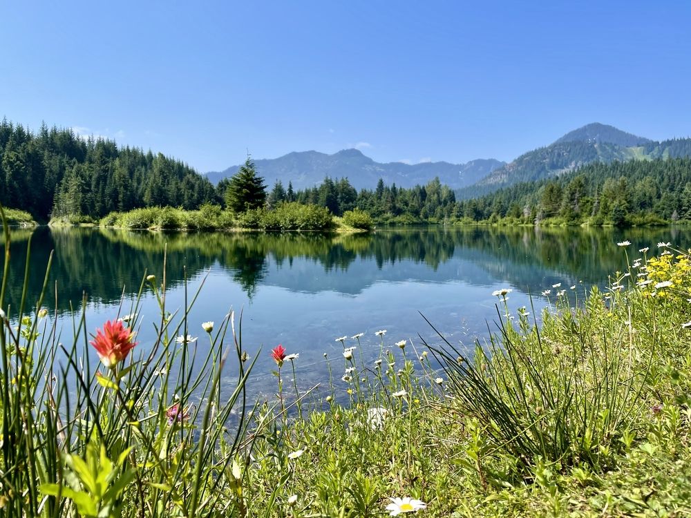 Photograph by Микова Юлия