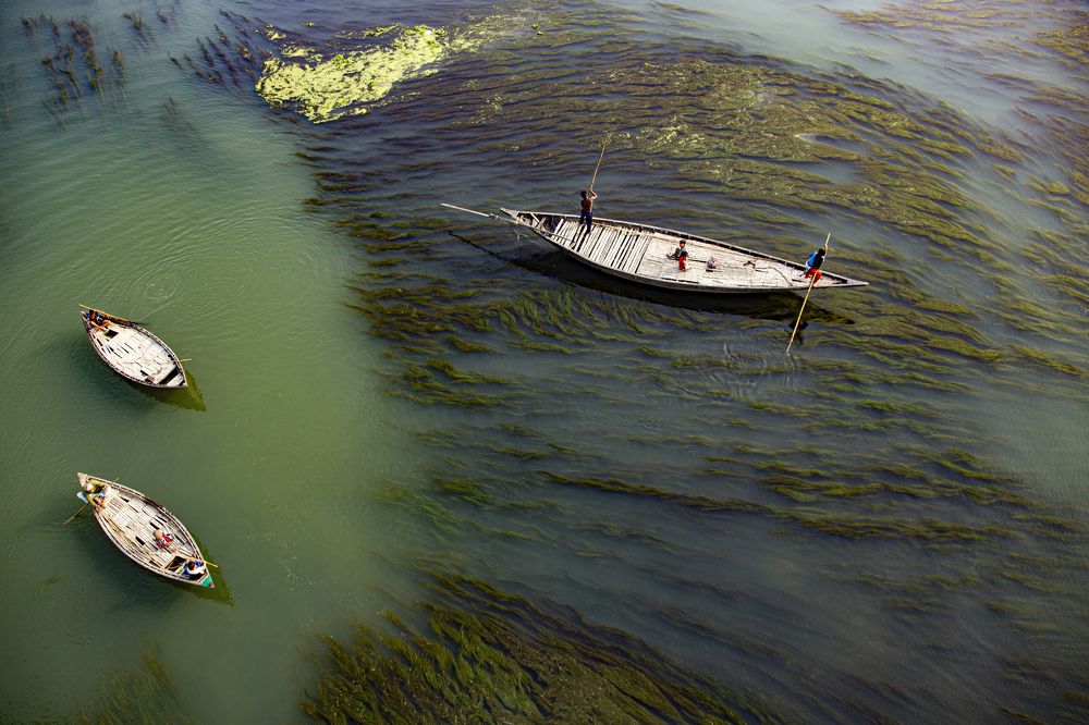 Boats in a River Full of Moss.