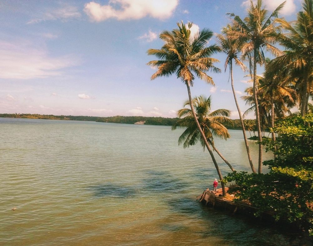 Photo #6296038