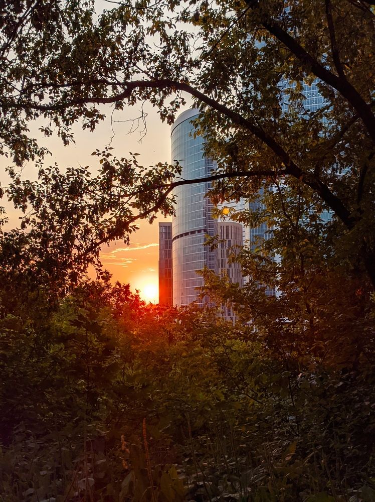 Photograph by Наталья Полетаева