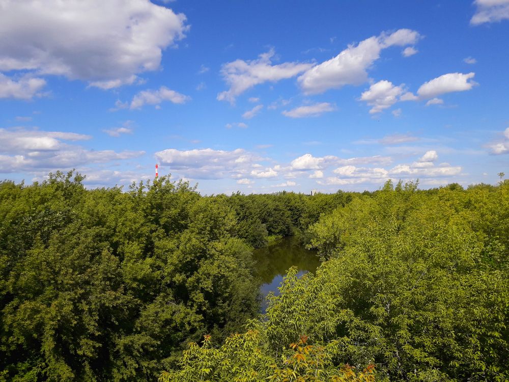 Photograph by Алена Кучина