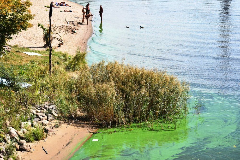 Photograph by Инна Сенкевич