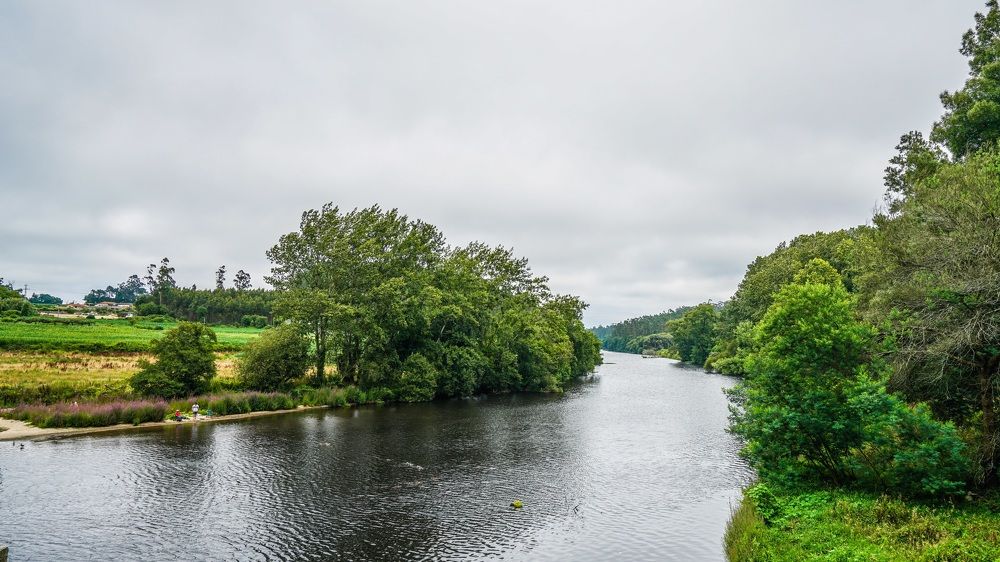 Фотография автора Jian Ma