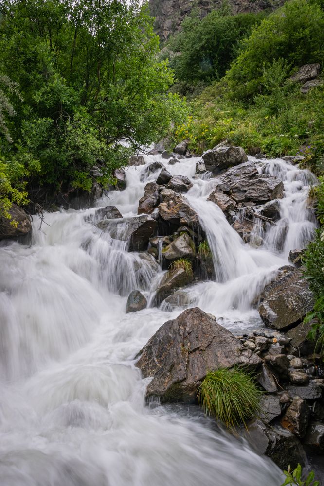 Фотография автора Оксана Белозерская