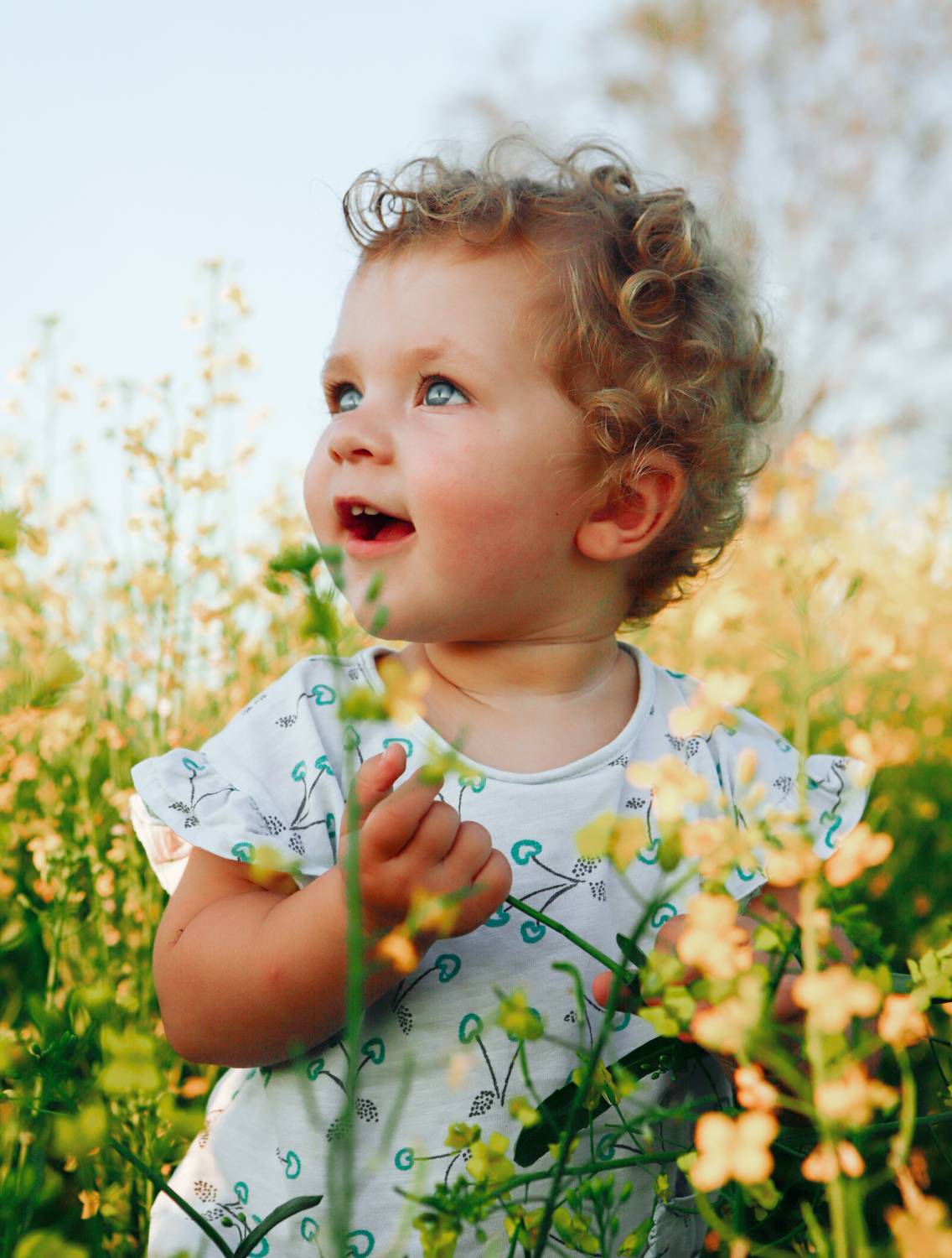 Photo #6296172