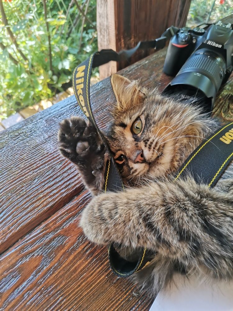 Photograph by Ирина Рыжая