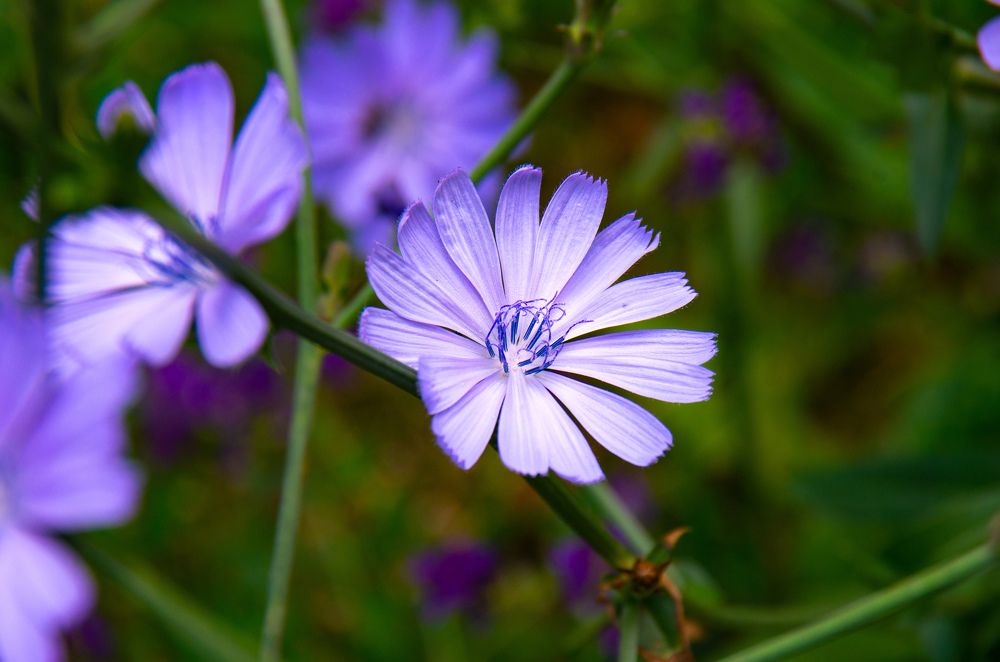Фотография автора Hovhannes Nersisyan