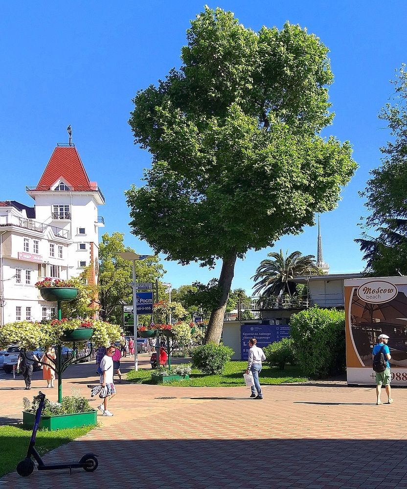 Photograph by Виктор Шандоров