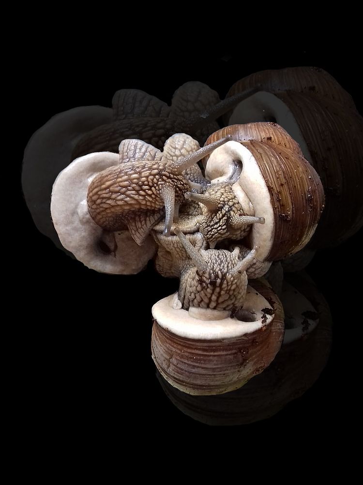 Фотография автора Владислава Андрюнина